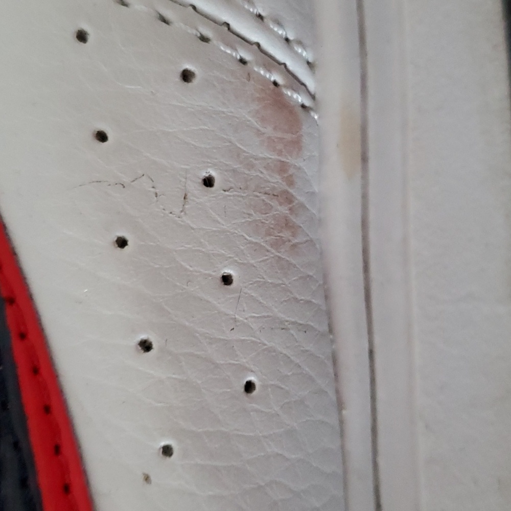 Sneakers - Picture 8 of 9